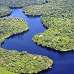 Neste 5 de setembro, a Amazônia está perto de todos nós